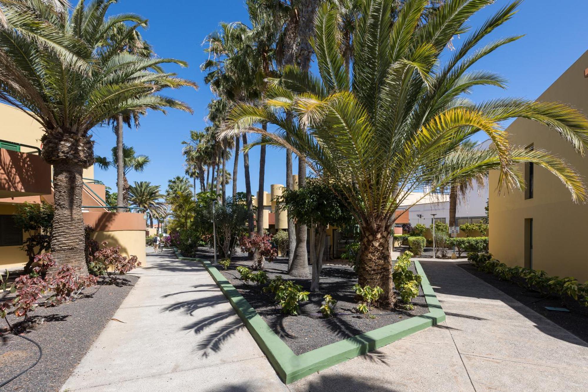 Home2Book Pool & Tennis Court Cozy Apt, Corralejo Bagian luar foto